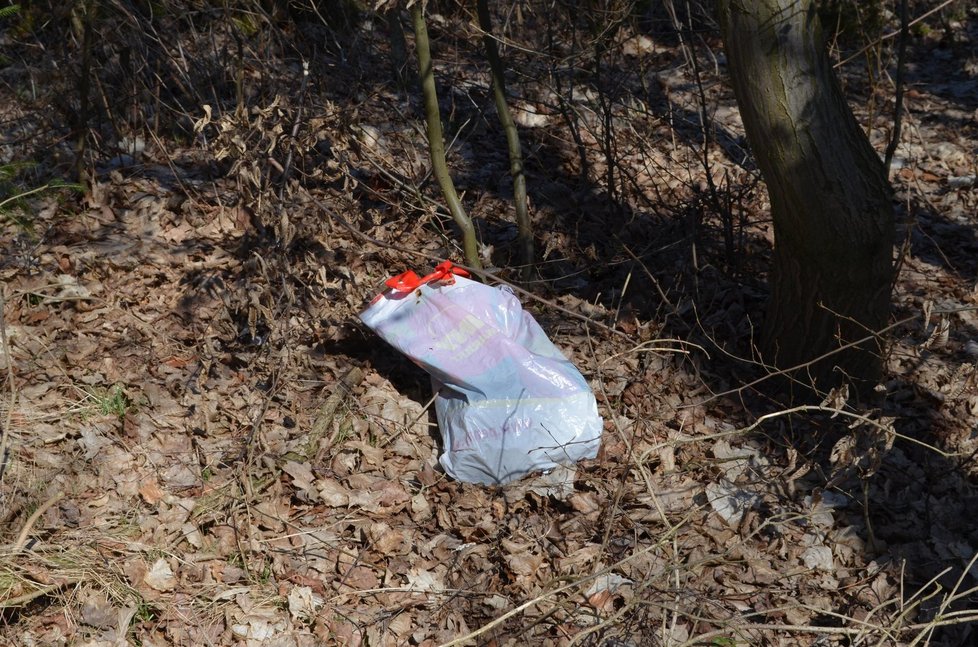 V igelitové tašce bylo na okraji hráze rybníka Drátovec na Havlíčkobrodsku nalezeno tělíčko novorozené holčičky