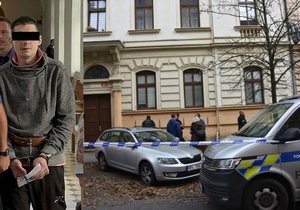 Dino N. přiznal u Krajského soudu v Plzni vraždu mámy, odsedí si 14 let.