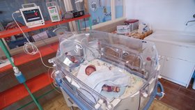 Novorozenec v inkubátoru - ilustrační foto