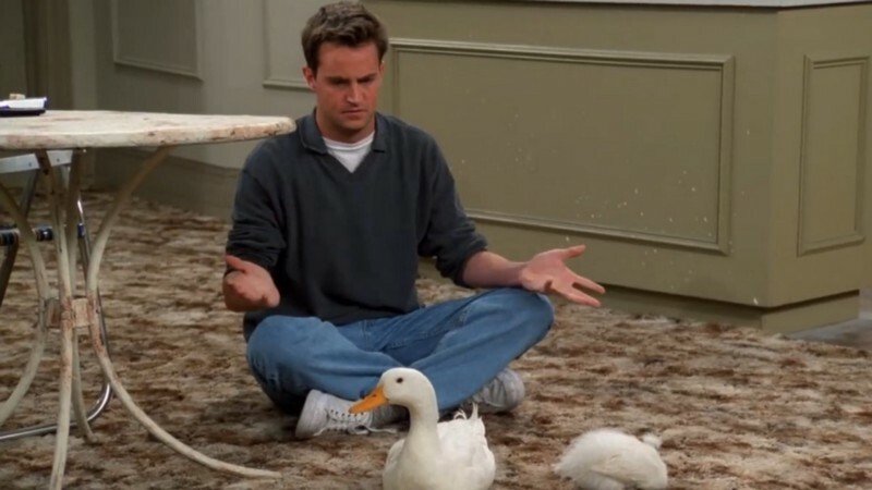 Matthew Perry jako Chandler v Přátelích