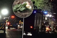 Smrt maturantek při nehodě u Lomu: Bolestný vzkaz ředitelky