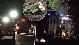 Tragická nehoda u Lomu (23. 8. 2026)