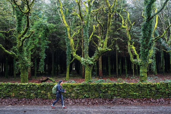 Na Camino Primitivo, nejstarší trase Svatojakubské pouti. Poslední kilometry na cestě. Na Camino Primitivo, nejstarší trase Svatojakubské pouti. Poslední kilometry na cestě.