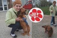 Matýska přejeli asi popeláři, Věra (73) na operace neměla. Pomohli čtenáři Blesku i veterináři