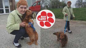 Matýska přejeli a pohodili za plot. Na operace přispěli čtenáři Blesku, viník trestu unikne