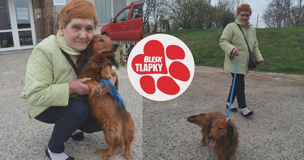 Matýska přejeli a pohodili za plot. Na operace přispěli čtenáři Blesku, viník trestu unikne