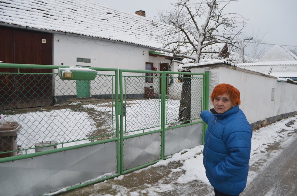 &#34;Přes tento zděný 2metrový plot někdo Matýska přehodil,&#34; ukázala Věra Bugnerová