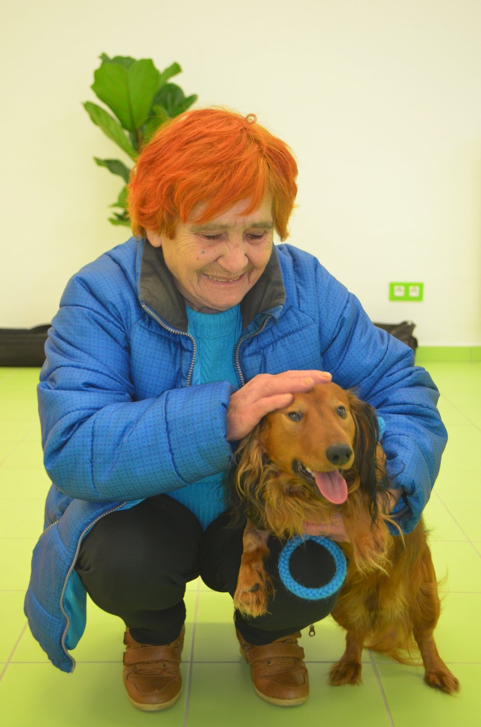 Matýsek je už více než 2 měsíce v péči strakonického Vetcentra. Paní Věra za ním dojíždí. Jedno jejich setkání zprostředkovaly i Blesk tlapky.