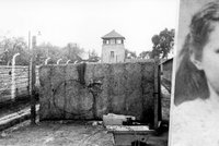 Před 80 lety povraždili nacisté stovky statečných Čechů: První popravy trvaly 9 hodin