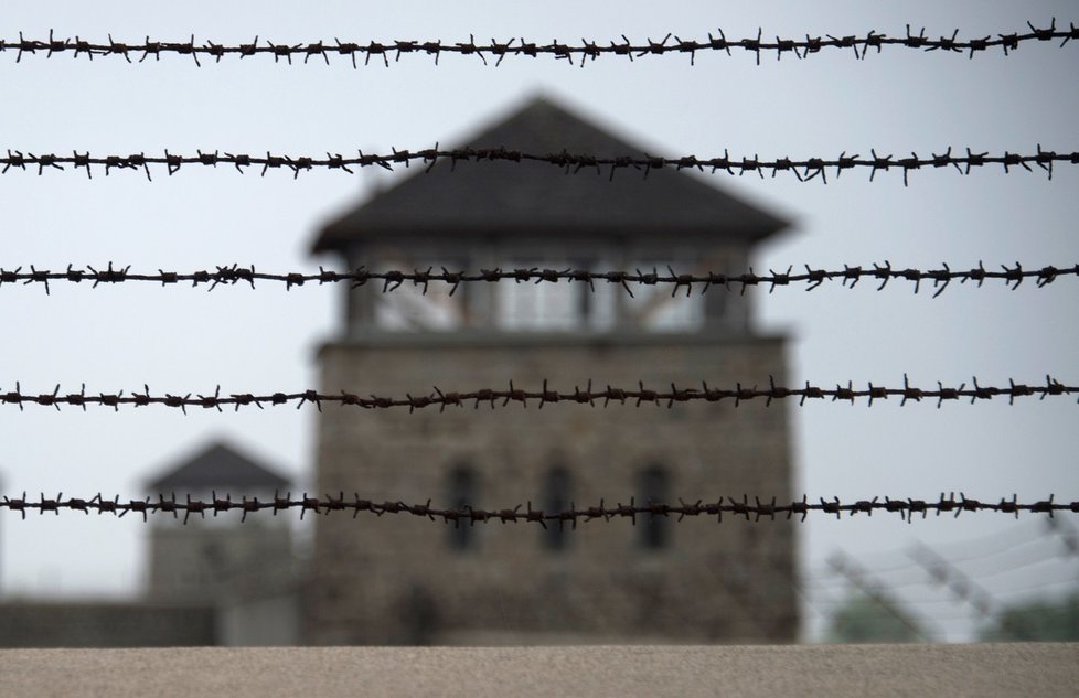 Zákon trestal pokutou nebo až třemi roky vězení používání slova „polský“ ve spojení s nacistickými zločiny a holokaustem
