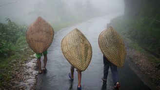 Deštivé rekordy: Kde zažijete lijáky, při kterých žádný deštník nepomůže a kde zaprší téměř denně
