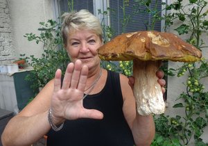 Tomu se říká kapitální nález. Hřib, který objevila Helena Vechová v Moravském krasu, vážil 1,2 kilogramu.