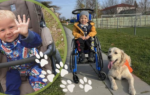 Malý rváč s SMA a chlupatý „ježíšek“: Maxík a Denny jsou kámoši jak hrom!