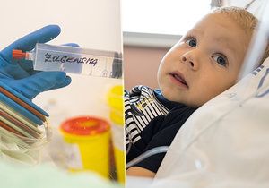Takhle malému Maxíkovi se spinální svalovou atrofií v motolské nemocnici podali lék Zolgensma.