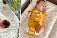 Maxík se narodil bez končetin: Žaloba na lékaře! Matka ukázala dokumenty z ultrazvuku