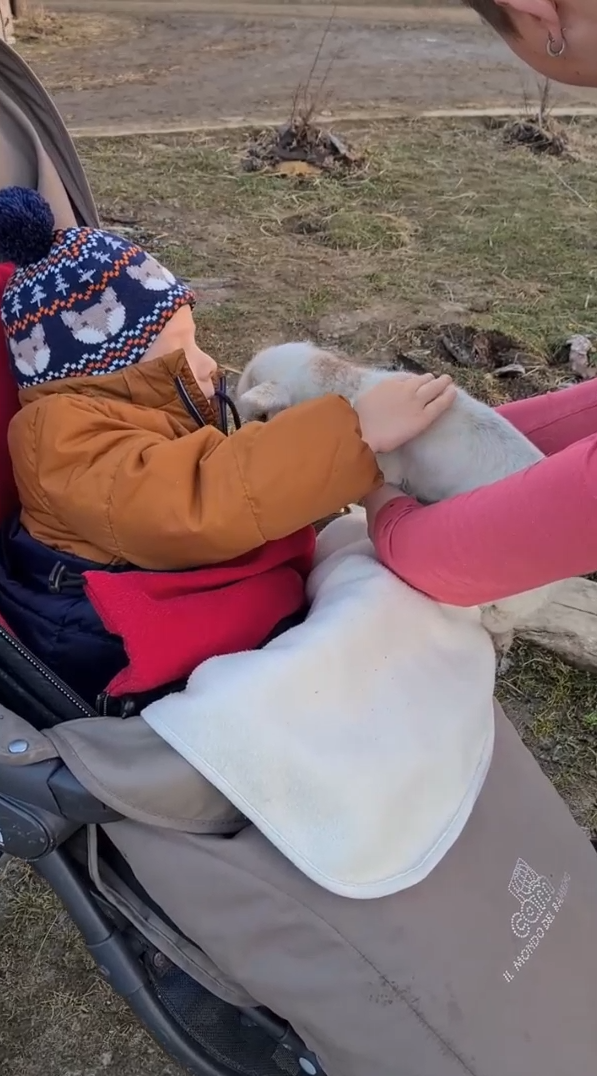 Maxík rok po aplikaci převratného genového léku cvičí s neztenčenou vervou a jeho schopnosti se neustále zlepšují!