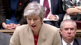 Britská premiérka Theresa Mayová při hlasování v parlamentu (29. 3. 2019)