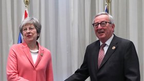 Theresa Mayová a Jean-Claude Juncker - předseda Evropské komise společně na summitu EU a afrických zemí v Egyptě. Možná jeden z posledních summitů Mayové v rámci Unie (25. 2. 2019).