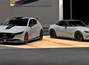 Mazda Spirit Racing 3