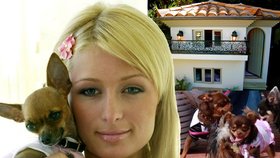 Čivava Tinkerbell patří mezi nejoblíbenější mazlíčky blonďaté Paris Hilton. Díky tomu má patrovou boudičku vybavenou luxusním nábytkem a křišťálovým lustrem.
