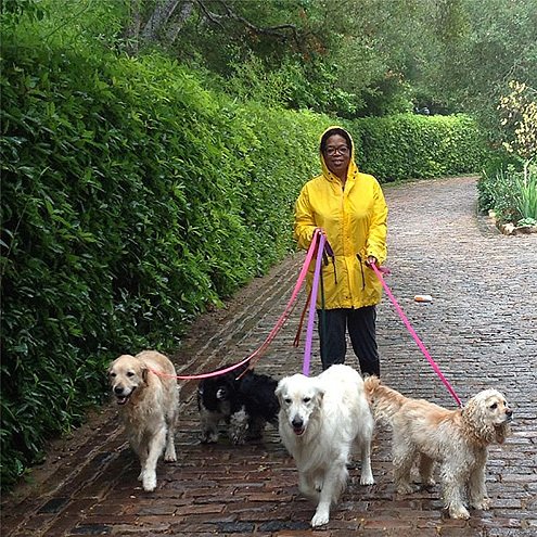 Každý z pěti psů moderátorky Oprah Winfrey má svou chůvu i kuchaře.