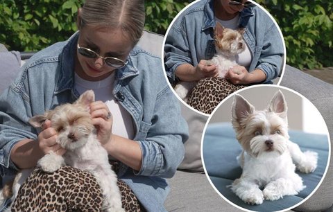Míša Salák o psím miláčkovi: Upřímně? Nejdřív jsem ho chtěla vrátit! Ze zlobení ale vyrostl