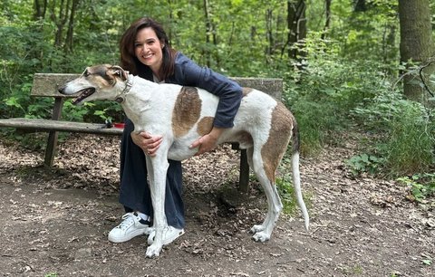Moderátorka Klára Doležalová o svém chrtovi: Zastaví se mi srdce, když Ben běží. Život bez něj si nedokážu představit!