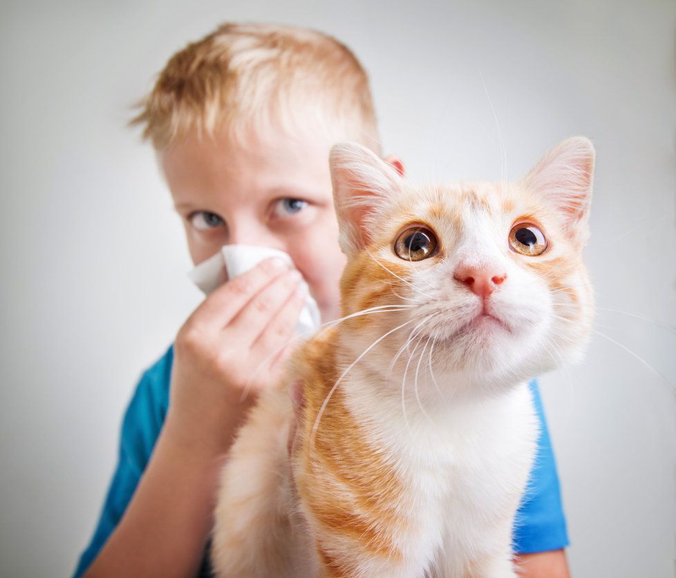 Každý desátý je alergik, přibývá astmatu u dětí. Expert: Zhoršují to auta i hygiena.