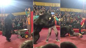 Cvičený medvěd napadl krotitele: Lidé utíkali z cirkusu!