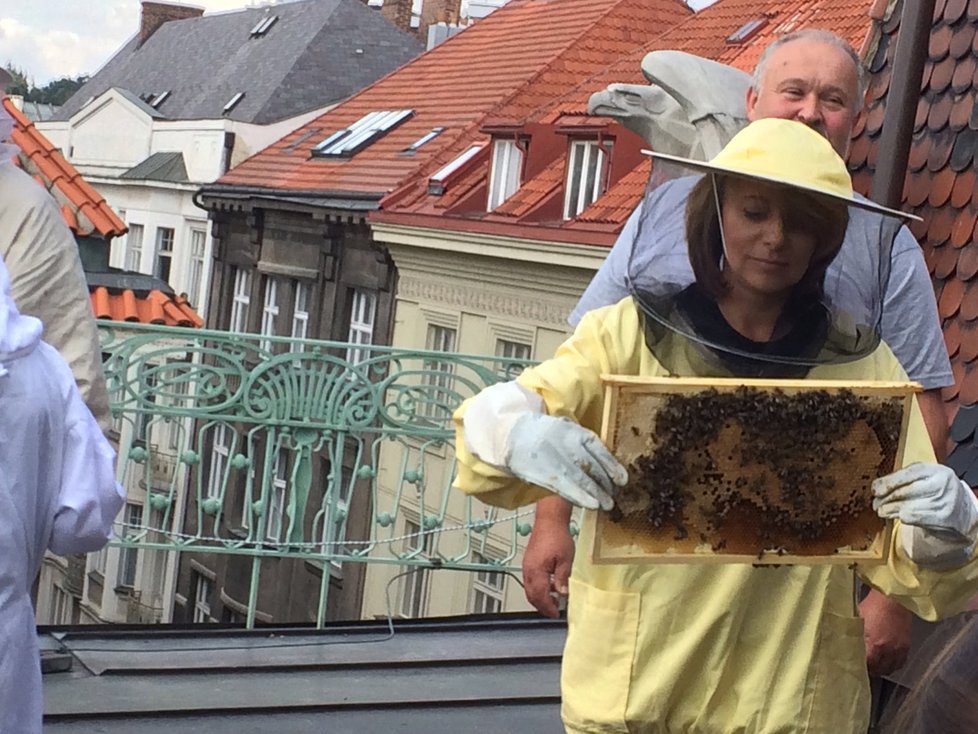 Na střechu vyrazila v ochranném obleku také primátorka Adriana Krnáčová.