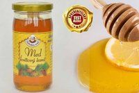 Velký test medů: Jak vybrat kvalitní med?