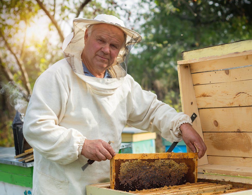 Med jedině od včelaře.