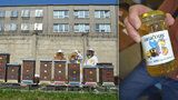 Vězni stáčí Bručouna! Do převýchovy odsouzených zapojili včely, med je ale  neprodejný