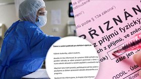 Medici musí danit své příjmy za pomoc v "covidáriích"