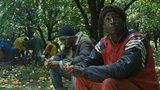 V hlavní roli uprchlíci: Pěšky z Alžíru do Libye, přes moře do italského tábora začít nový život. Film Mediterranea ve Varech