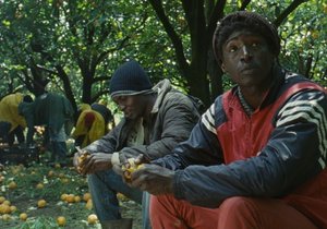 Film Mediterranea vypráví příběh dvou uprchlíků z Afriky do Evropy.