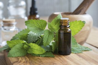 Trápí vás stres, nespavost či revma? Zažeňte je díky voňavé meduňce Trápí vás stres, nespavost či revma? Zažeňte je díky voňavé meduňce