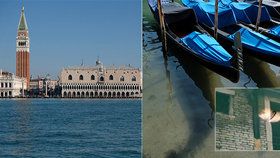 Benátky jsou čisté? u místních břehů se měla objevit vzácná medúza