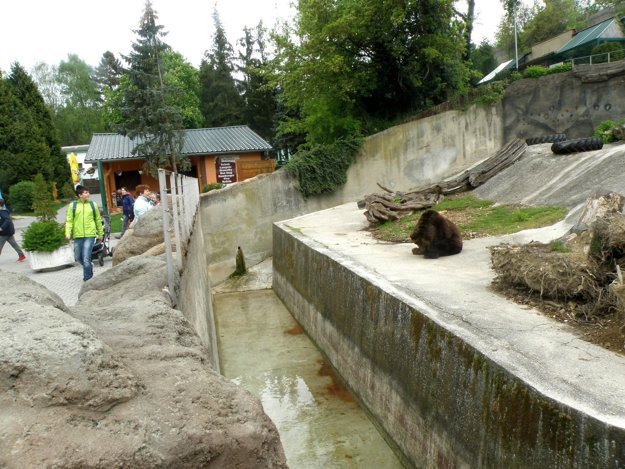 Tak vypadá betonový výběh pro medvědy v bojnické zoologické zahradě.