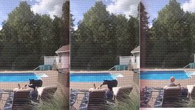 Medvěd očenichal u bazénu spícího muže a poté utekl.
