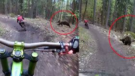 Dva české bikery naháněl na Slovensku medvěd! Otřesný zážitek zachytili na kameru