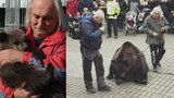 Týrání zvířat, nebo zbytečná hysterie? Vystoupení medvěda v Praze 10 vzbudilo rozruch, chovatel se brání
