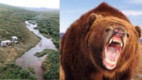 Na Aljašce terorizoval medvěd grizzly týden muže v odlehlé divočině.