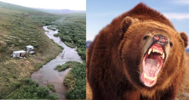 Muže terorizoval medvěd grizzly: Šelma útočila na nebožáka celý týden