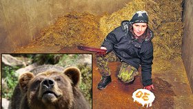 Ošetřovatelka Zuzana Slouková připravila pro oslavence šlehačkovo-tvarohový dort. Oslavenec patří k symbolům děčínské zoo. Zdobí i její logo