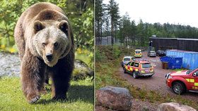 Krvák ve švédské zoo: Medvěd těžce zranil ošetřovatele před zraky návštěvníků.