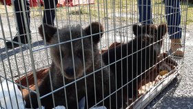 Policisté na hranicích ve Zlínském kraji.