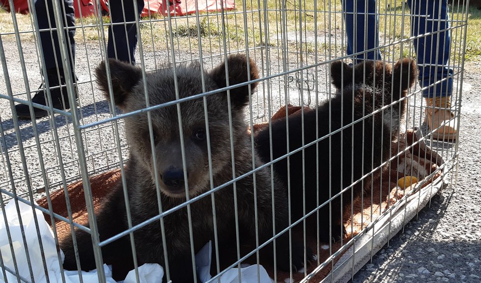 Policisté na hranicích ve Zlínském kraji