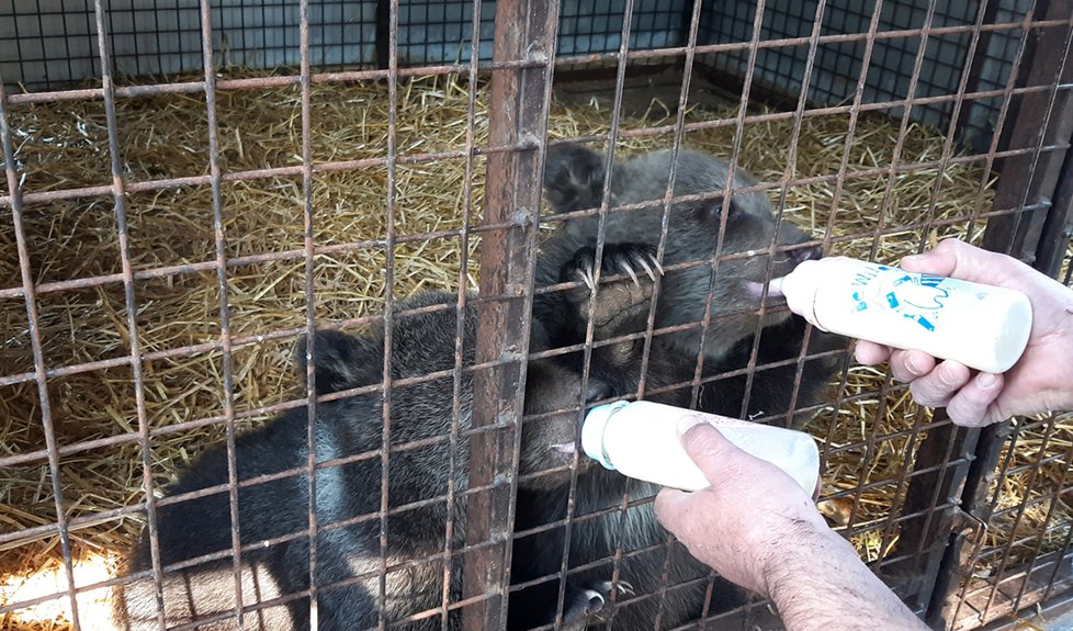 Policisté na hranicích ve Zlínském kraji.