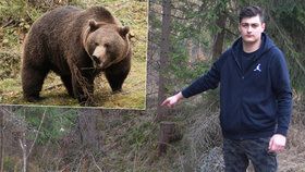 Student se v Hrčavě setkal s medvědem.